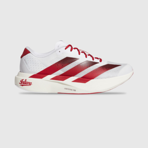 Adidas Adizero Evo SL Indiana